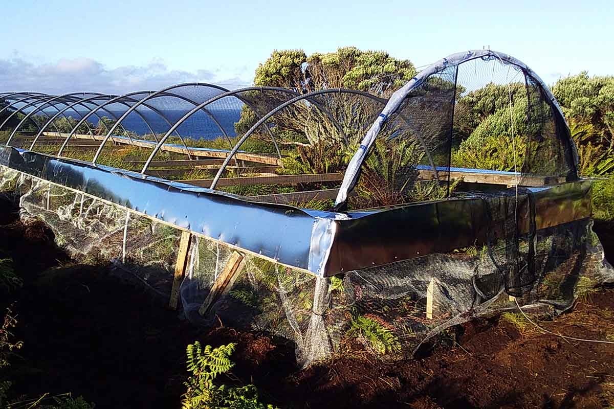 Animal & Wildlife Management